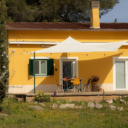 Casina Al Castello - Natura E Relax 카스텔델몬테 외부 사진